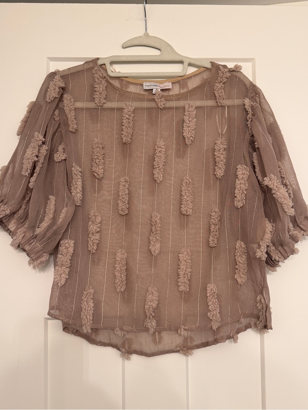 Yuni Los Angeles Sheer Eyelash Fringe Boho Fairycore Sheer Balloon Sleeve Top S